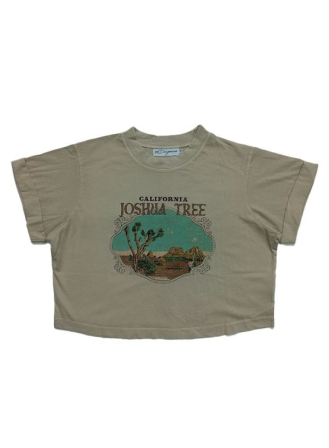 Joshua Tree | Vintage Crop Top