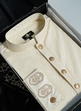 1251 - BEIGE CHIKANKARI